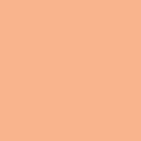 Salmão Esferográfica cores pastel UM-120AC - Uniball