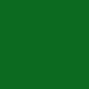 Verde 5 Marcador Triplus Fineliner 0.3mm - Staedtler