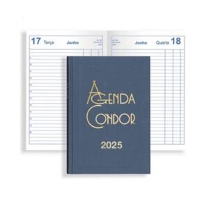 Agenda Mini Condor Fsx Mix 10x16 Diária - 2025